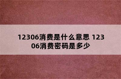 12306消费是什么意思 12306消费密码是多少